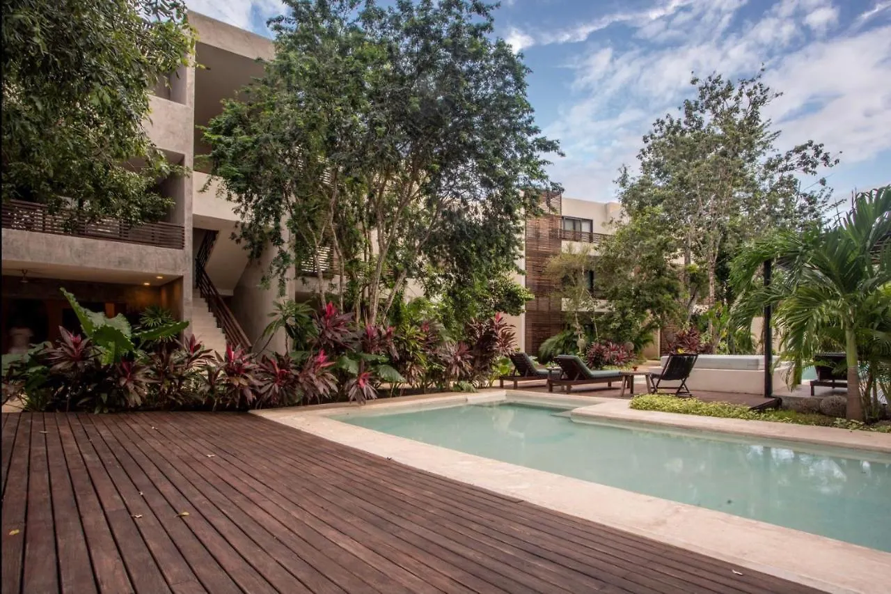 Panacea Condo تولوم