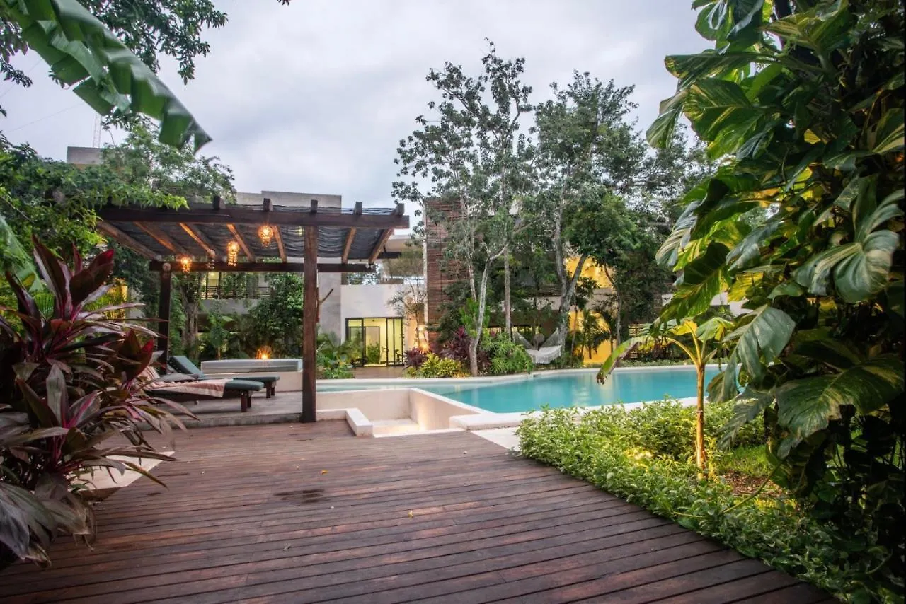 Panacea Condo Tulum Mexico